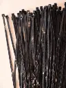 negro.webp
