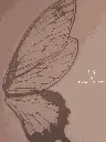 Plata.webp