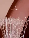 Transparente (2).webp