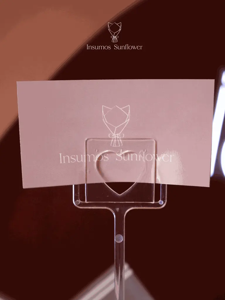 Transparente (4).webp