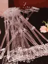 Transparente (8).webp