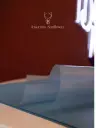 Traslucido