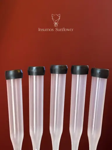 Pipetas Transparente